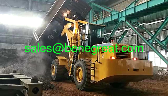 Railroad Car Dumper for 20ft container Chinese BENE 40ton to 42ton fork loader for 24ft container unloading fournisseur