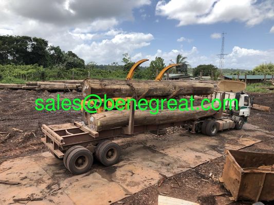 Chargeur à roues de 5 à 25 tonnes avec moteur Cumins fournisseur