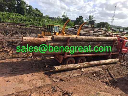 Chargeur à roues de 5 à 25 tonnes avec moteur Cumins fournisseur